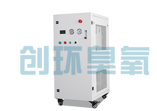 迪庆石斑鱼养殖水质调控完整指南：臭氧发生器配置与操作步骤