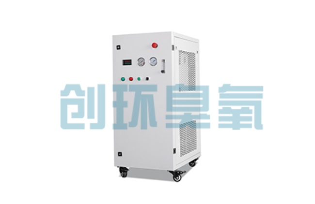 迪庆比传统换水更高效？臭氧发生器在石斑鱼养殖中的水质净化原理解析