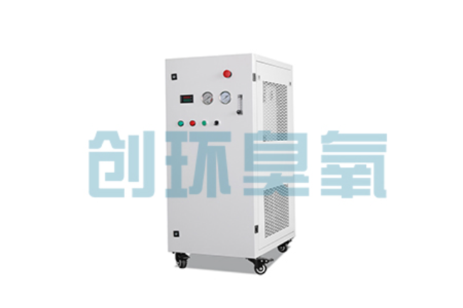 迪庆比传统换水更高效？臭氧发生器在石斑鱼养殖中的水质净化原理解析